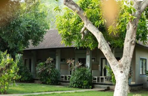 bali gecko homestay pemuteran