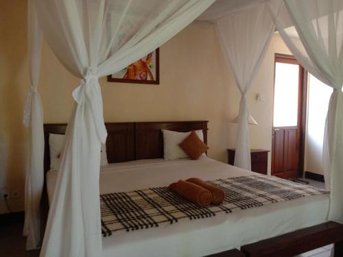 bali gecko homestay pemuteran