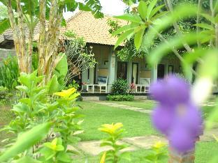 bali gecko homestay pemuteran