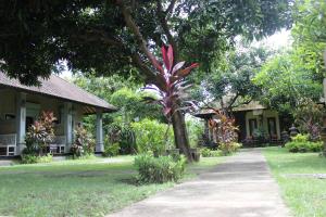 bali gecko homestay pemuteran
