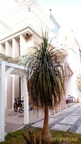 Smile Ark Homestay,Nantou City>>Nantou,4 star