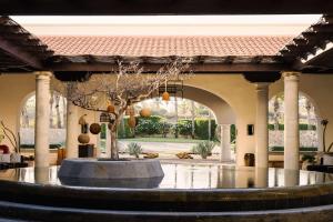 hilton los cabos