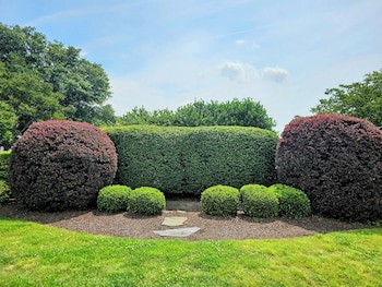 doubletree by hilton hotel norfolk airport