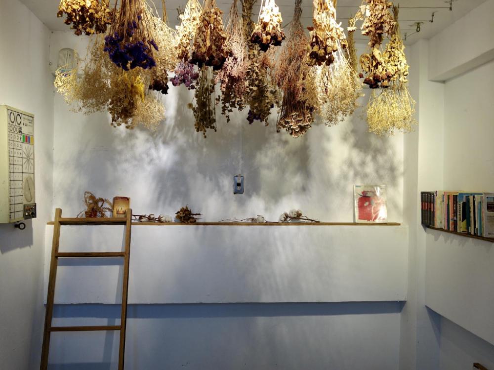 old man captain hostel ii