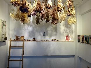 old man captain hostel ii