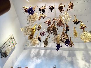 old man captain hostel ii