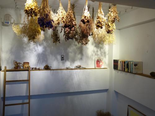 old man captain hostel ii