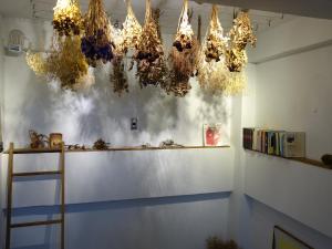 old man captain hostel ii