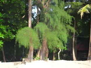 racha sunset resort koh siboya