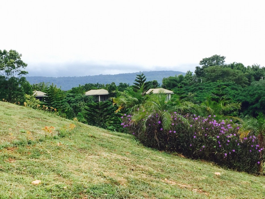 Khaoyai Nature Retreat,Pak Chong>>Khao Yai National Park,2.5 star