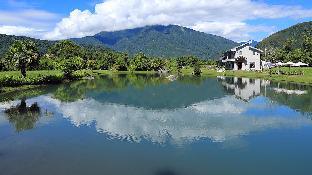 summer rock villa