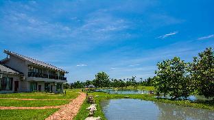 summer rock villa