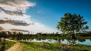 summer rock villa
