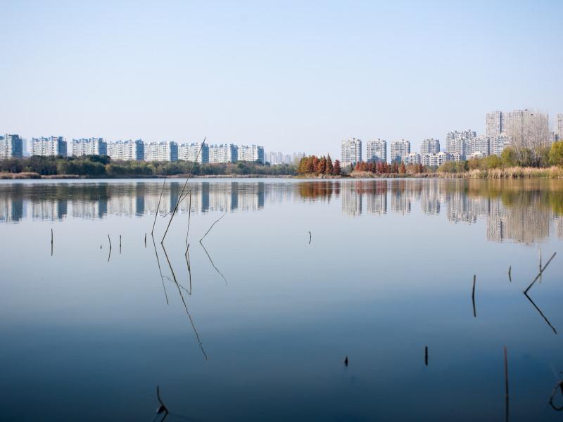 greentree inn anhui hefei south high speed rail st