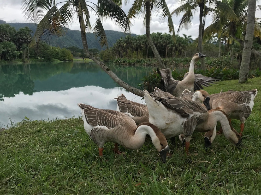 villa of permaculture