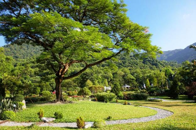 butterfly valley resort