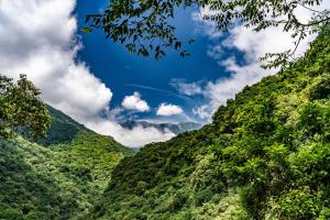 butterfly valley resort