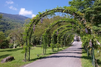 butterfly valley resort