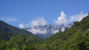 butterfly valley resort