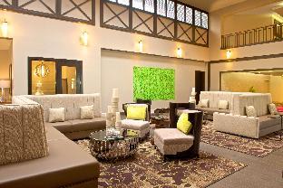 hilton tampa airport westshore