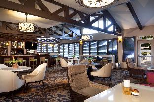 hilton tampa airport westshore