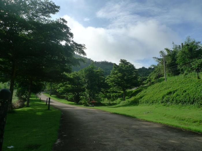 hi scene resort