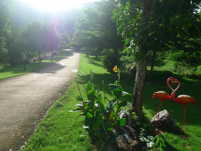 hi scene resort