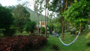 hi scene resort