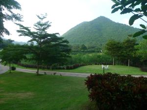 hi scene resort