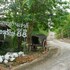 hua hin home hill