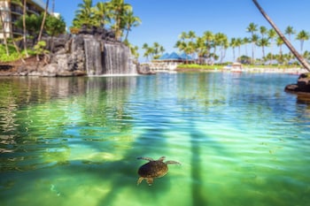 hilton waikoloa village