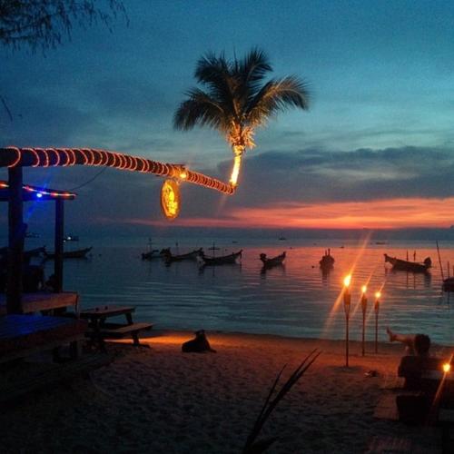 lotus paradise resort