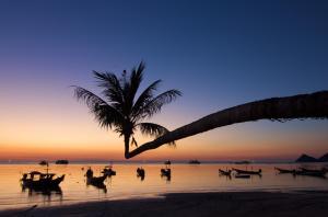 lotus paradise resort