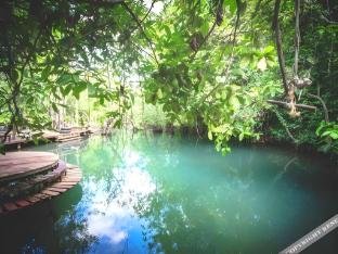 blu monkey pooltara krabi hotel and villas
