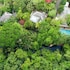 blu monkey pooltara krabi hotel and villas