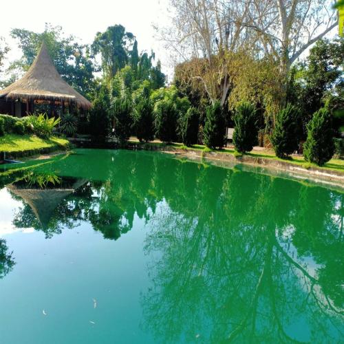 aurora resort chiangdao