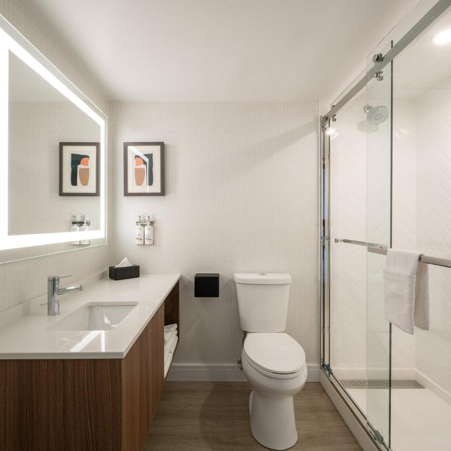 holiday inn and suites winnipeg downtown by ihg