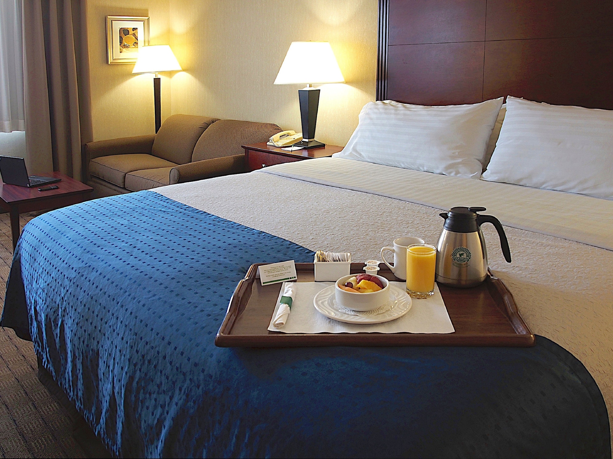 holiday inn and suites winnipeg downtown by ihg