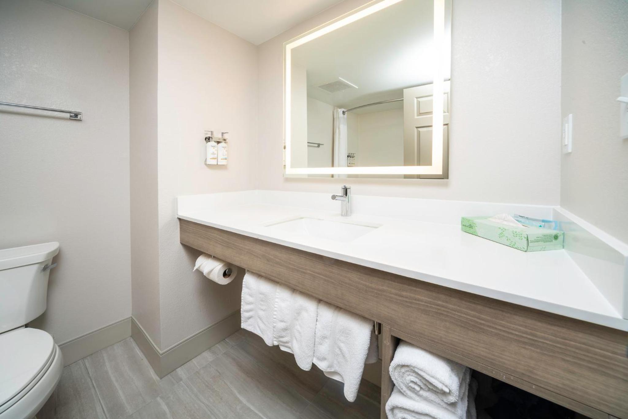 holiday inn express and suites atlanta johns creek