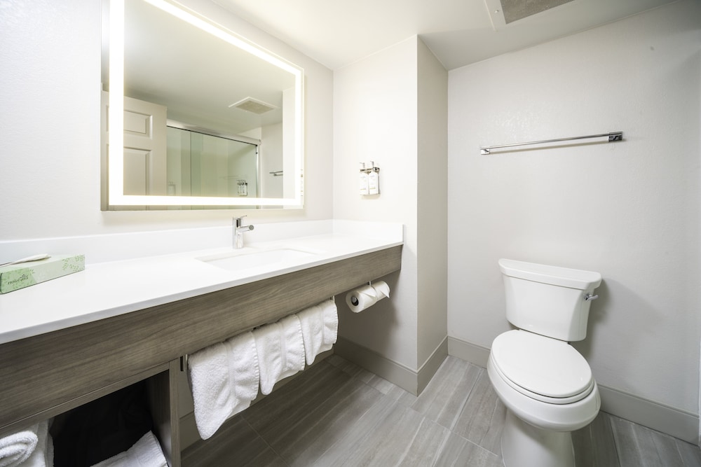 holiday inn express and suites atlanta johns creek