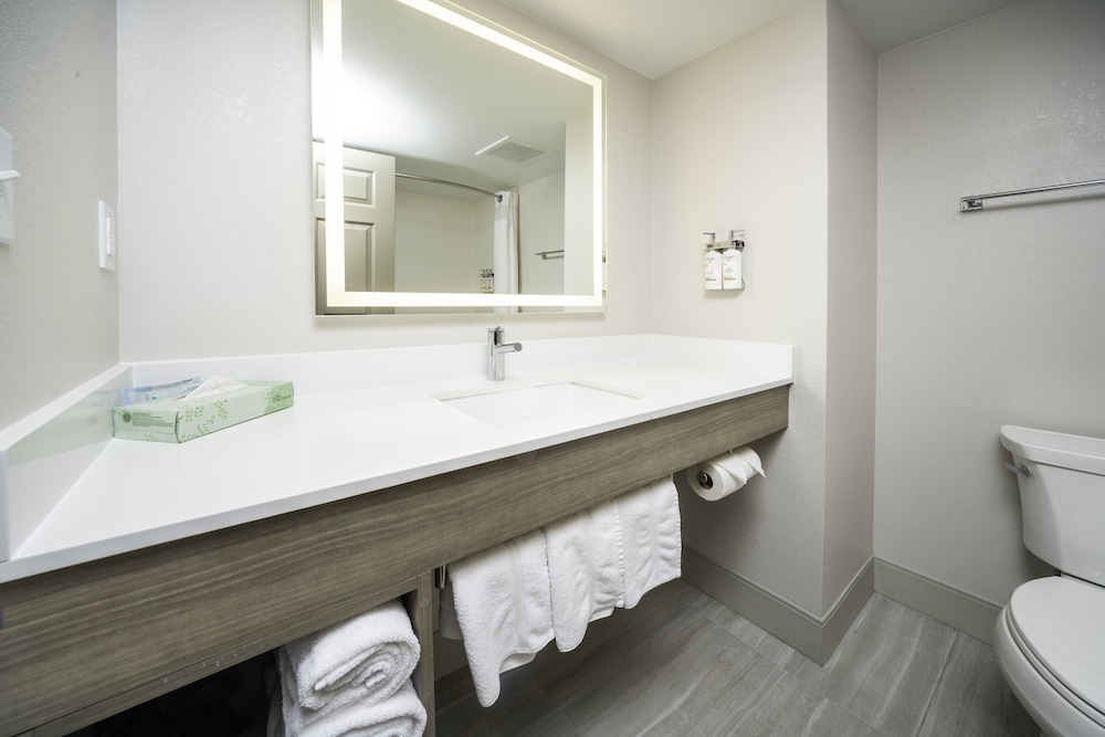 holiday inn express and suites atlanta johns creek