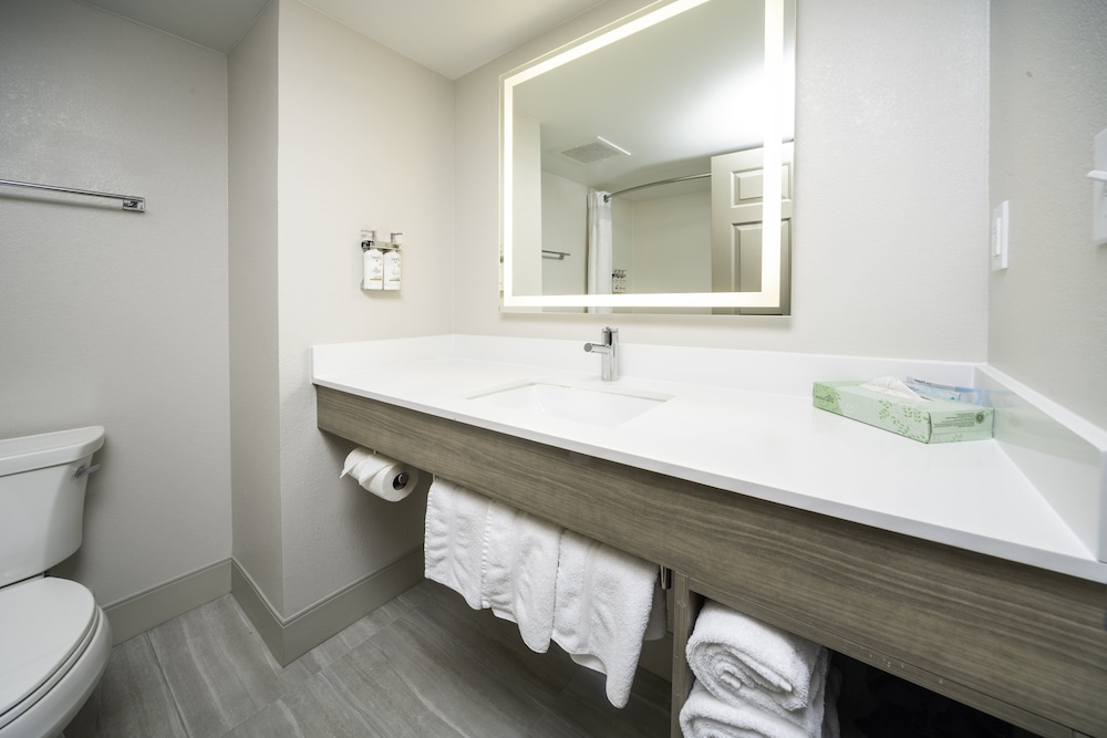 holiday inn express and suites atlanta johns creek