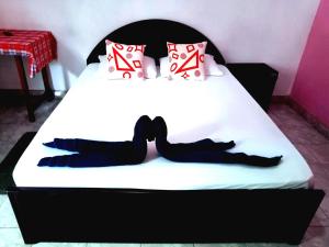 takeshi inn