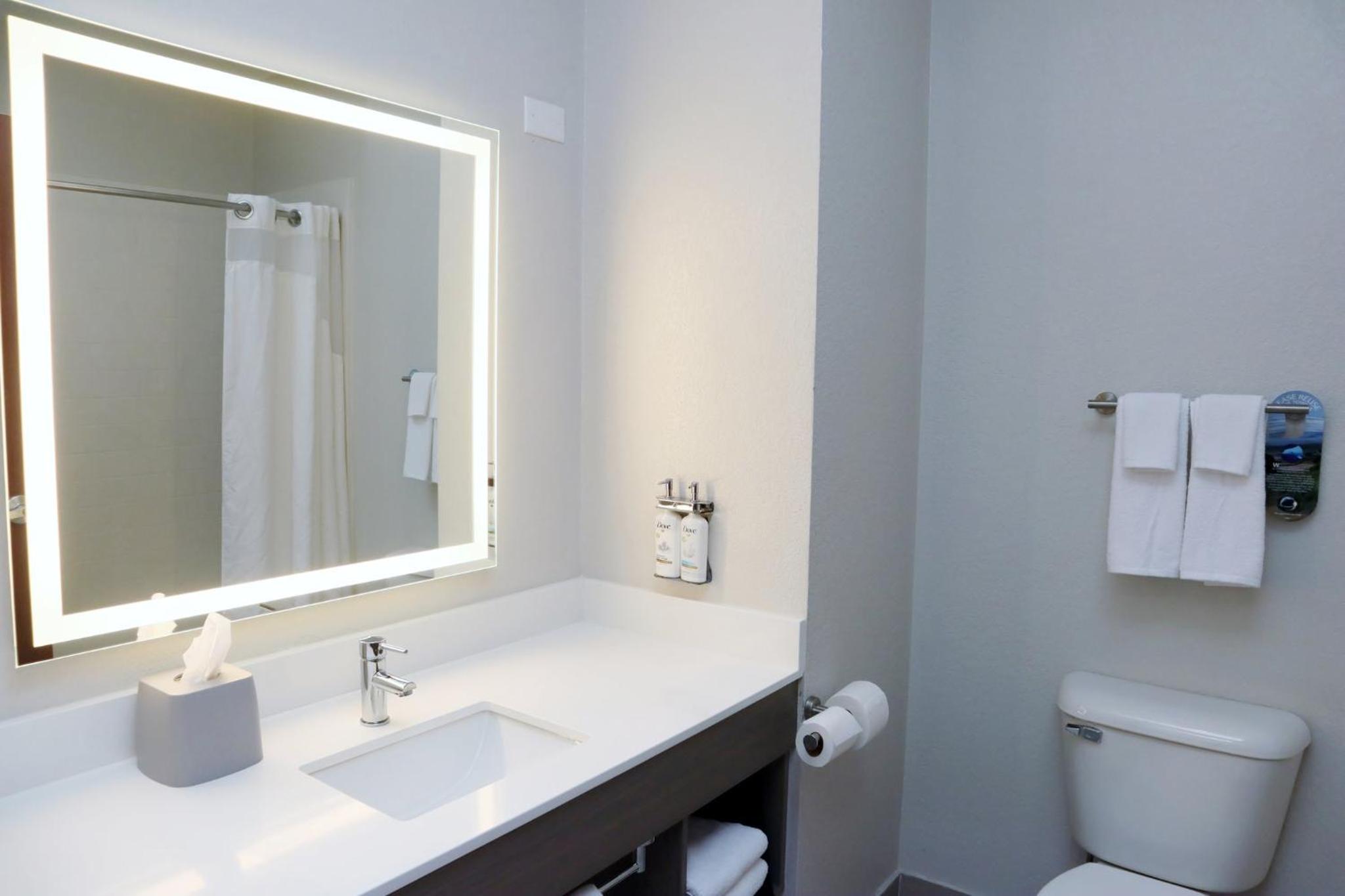 holiday inn express and suites baton rouge north