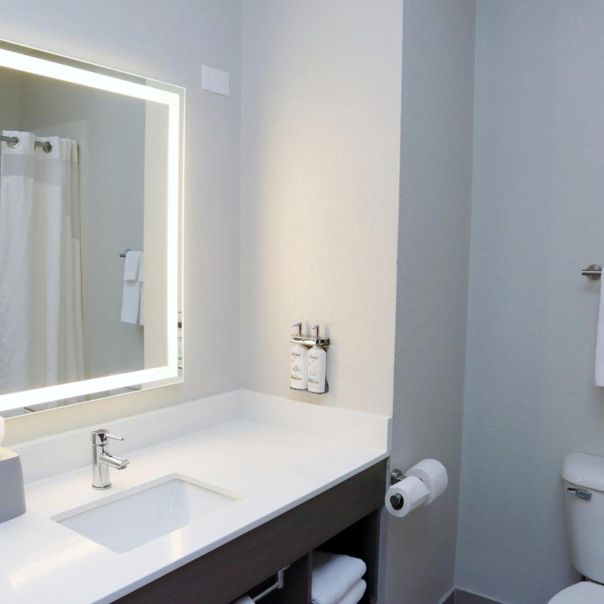 holiday inn express and suites baton rouge north