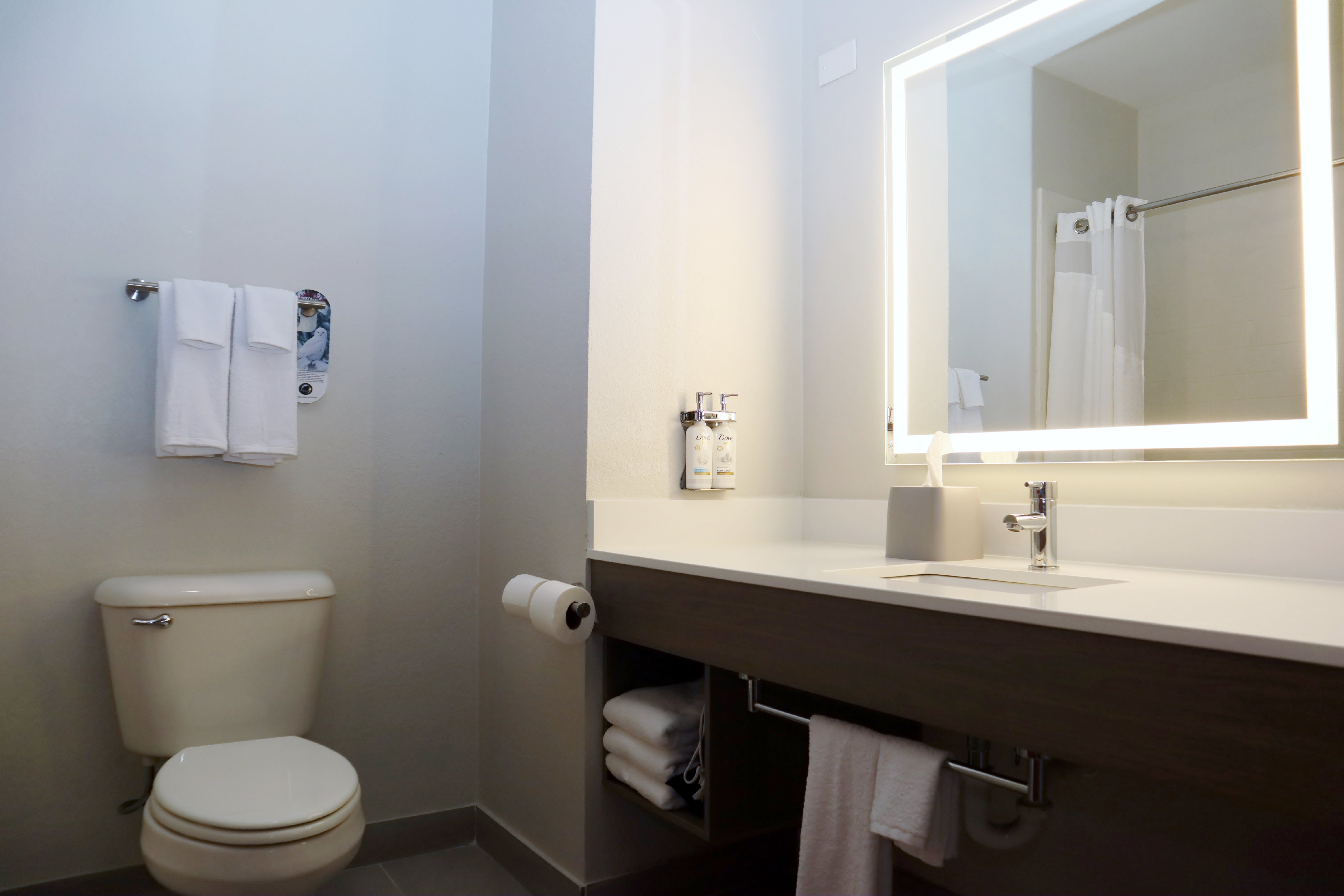 holiday inn express and suites baton rouge north