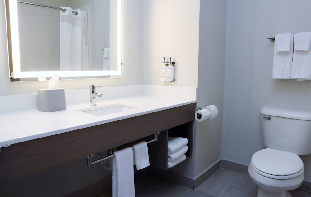 holiday inn express and suites baton rouge north