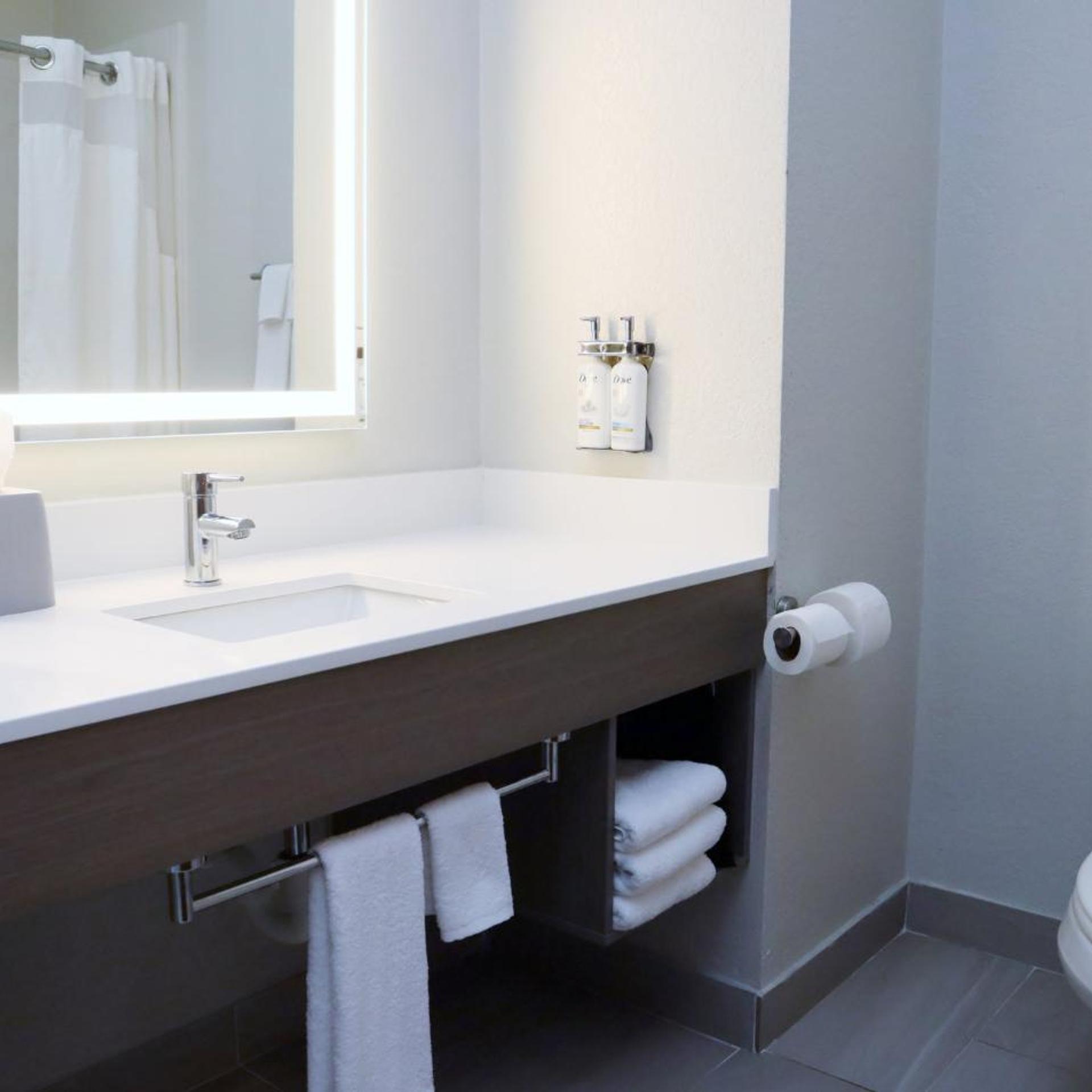 holiday inn express and suites baton rouge north