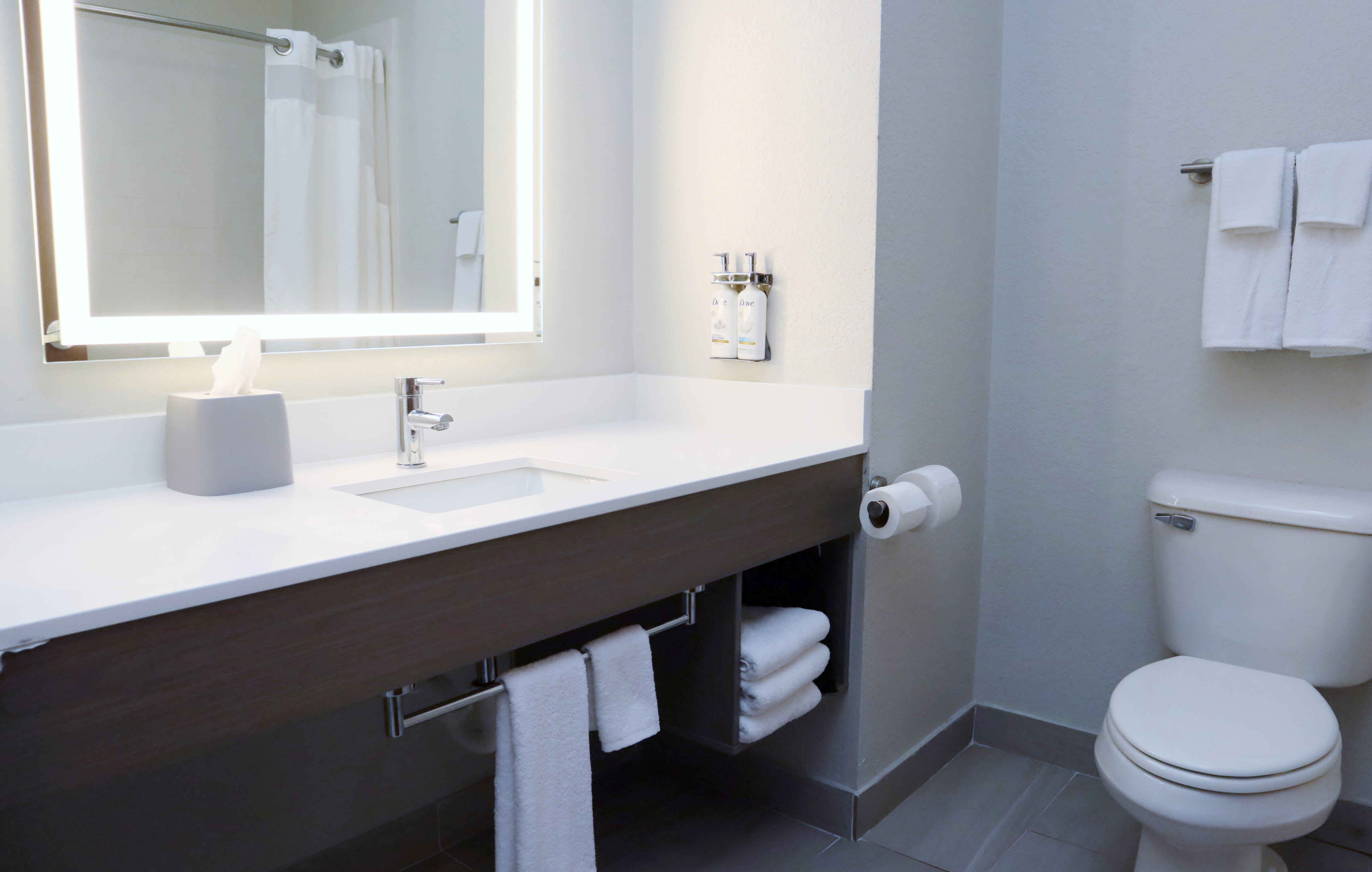 holiday inn express and suites baton rouge north