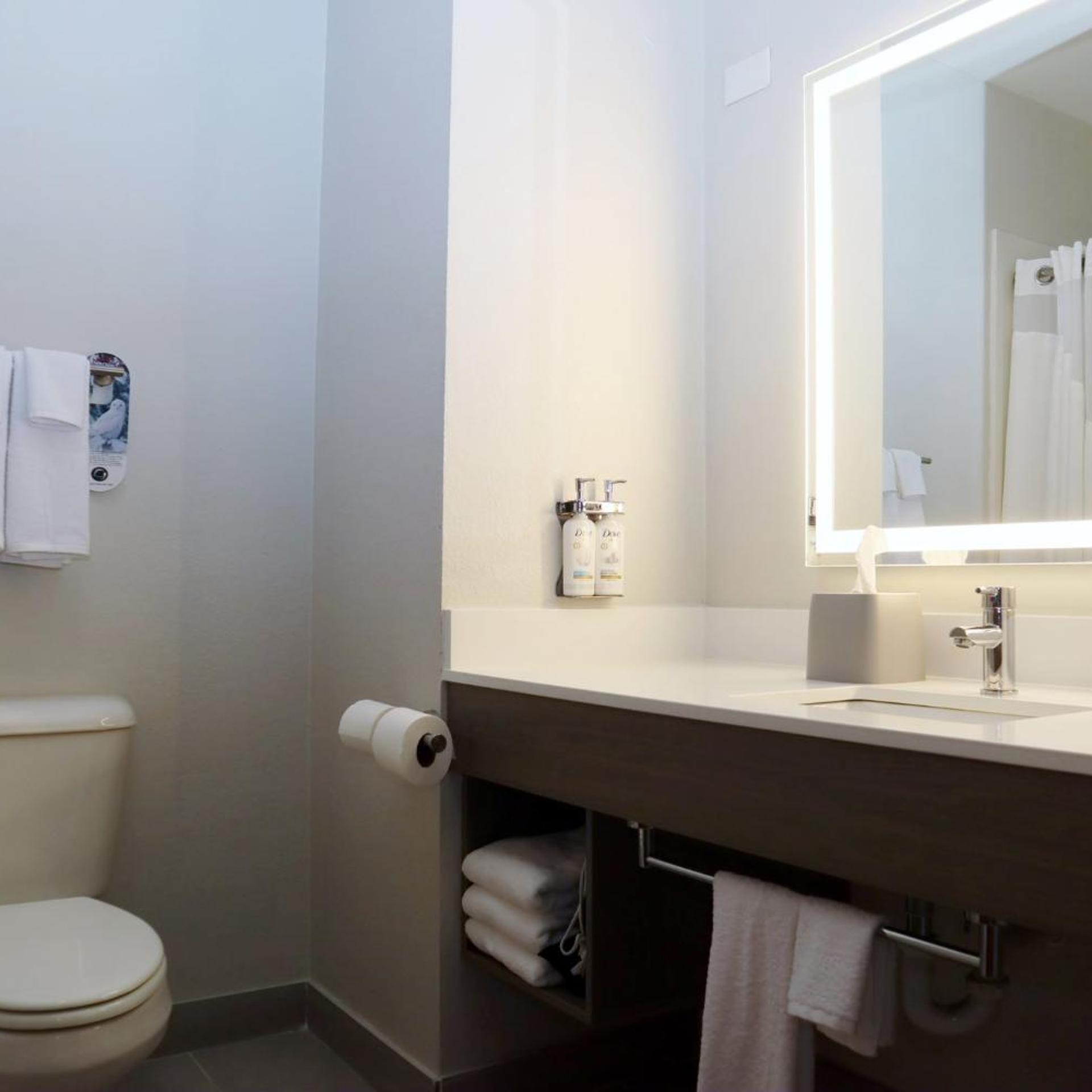 holiday inn express and suites baton rouge north